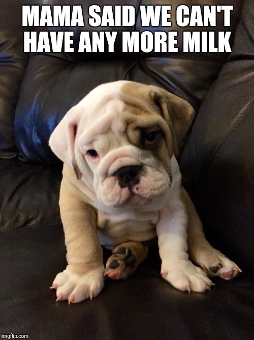 MAMA SAID WE CAN'T HAVE ANY MORE MILK | made w/ Imgflip meme maker