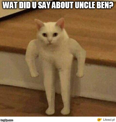 WAT DID U SAY ABOUT UNCLE BEN? | made w/ Imgflip meme maker