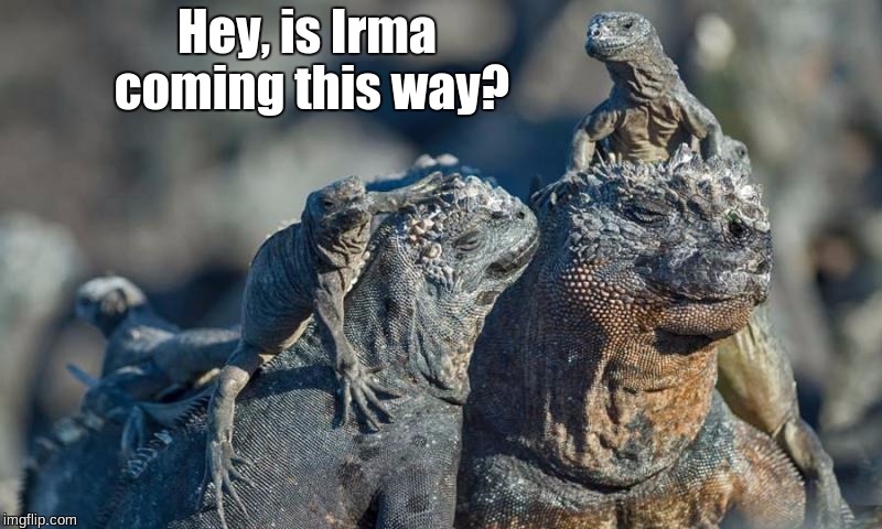 Irma | Hey, is Irma coming this way? | image tagged in hurricane irma | made w/ Imgflip meme maker