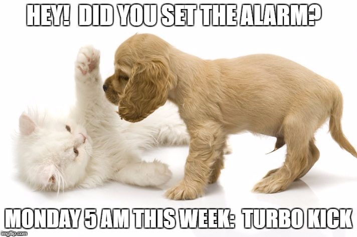 kitten and puppy playing | HEY!  DID YOU SET THE ALARM? MONDAY 5 AM THIS WEEK:  TURBO KICK | image tagged in kitten and puppy playing | made w/ Imgflip meme maker