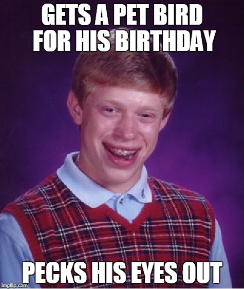 Bad Luck Brian pet bird | GETS A PET BIRD FOR HIS BIRTHDAY; PECKS HIS EYES OUT | image tagged in memes,bad luck brian,bird,pets | made w/ Imgflip meme maker