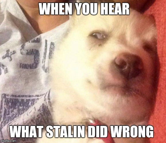 image tagged in stalin dodge meme | made w/ Imgflip meme maker