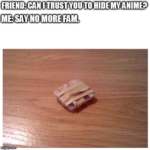 FRIEND: CAN I TRUST YOU TO HIDE MY ANIME? ME: SAY NO MORE FAM. | image tagged in funny | made w/ Imgflip meme maker
