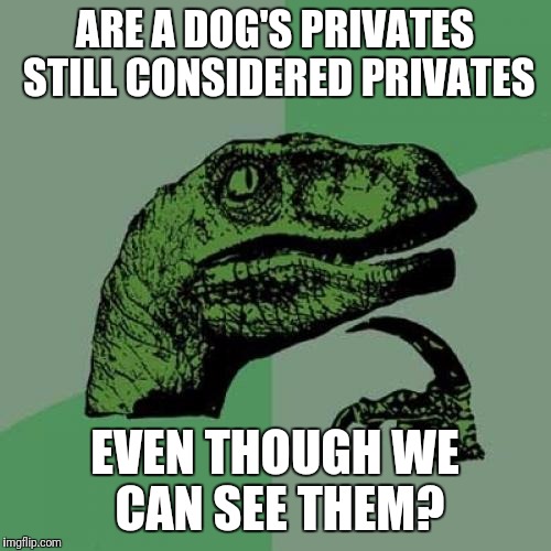 Philosoraptor Meme | ARE A DOG'S PRIVATES STILL CONSIDERED PRIVATES; EVEN THOUGH WE CAN SEE THEM? | image tagged in memes,philosoraptor | made w/ Imgflip meme maker