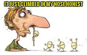 IT JUST CLIMBED IN MY NOSE HONEST | made w/ Imgflip meme maker