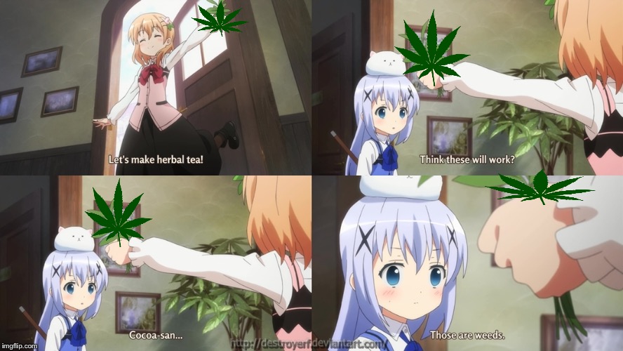 Drink Weed Everyday | image tagged in weed,anime,funny,herbal tea | made w/ Imgflip meme maker