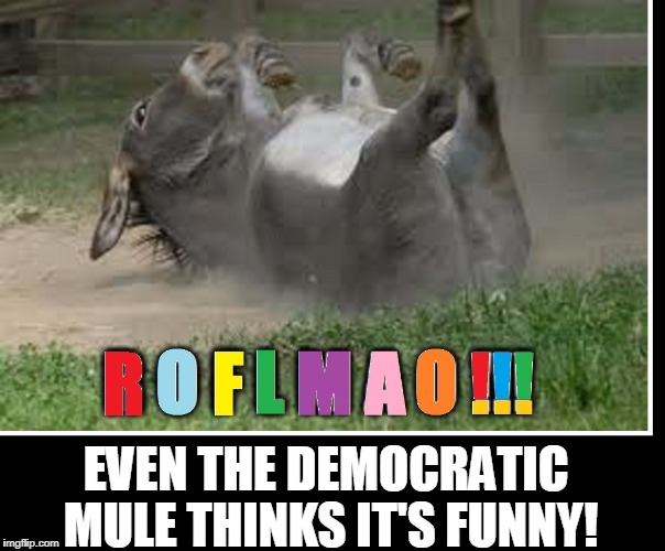 Rolling on Floor Laughing My A$$ Off | EVEN THE DEMOCRATIC MULE THINKS IT'S FUNNY! | image tagged in vince vance,democrat party,mule,roflmao,political memes,democrats | made w/ Imgflip meme maker