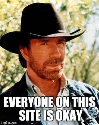 Chuck Norris | EVERYONE ON THIS SITE IS OKAY | image tagged in chuck norris | made w/ Imgflip meme maker
