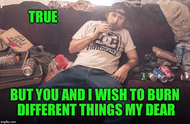 Stoner on couch | TRUE BUT YOU AND I WISH TO BURN DIFFERENT THINGS MY DEAR | image tagged in stoner on couch | made w/ Imgflip meme maker