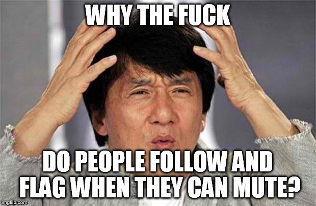 Epic Jackie Chan HQ | WHY THE FUCK; DO PEOPLE FOLLOW AND FLAG WHEN THEY CAN MUTE? | image tagged in epic jackie chan hq | made w/ Imgflip meme maker