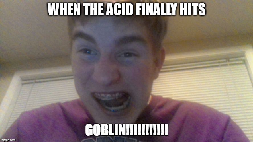GOBLIN | WHEN THE ACID FINALLY HITS; GOBLIN!!!!!!!!!!! | image tagged in don't do drugs | made w/ Imgflip meme maker