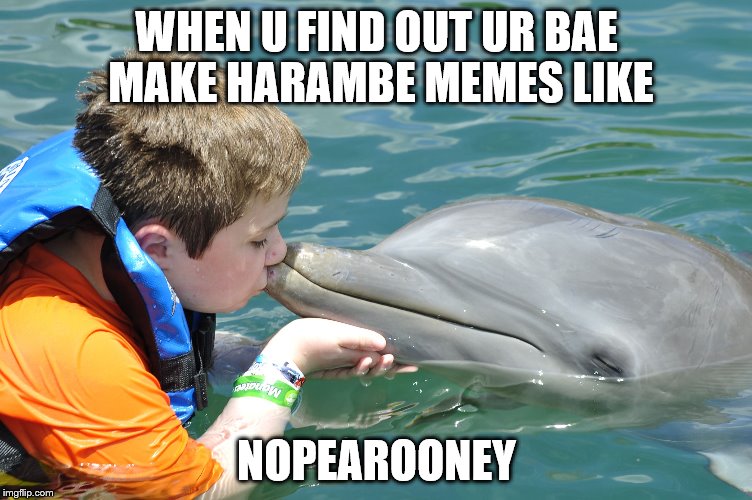 Nopearooney | WHEN U FIND OUT UR BAE MAKE HARAMBE MEMES LIKE; NOPEAROONEY | image tagged in nopearooney | made w/ Imgflip meme maker