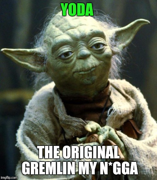Star Wars Yoda Meme | YODA; THE ORIGINAL GREMLIN MY N*GGA | image tagged in memes,star wars yoda | made w/ Imgflip meme maker