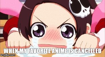 the crying anime girl | WHEN MY FAVORITE ANIME IS CANCELLED | image tagged in the crying anime girl | made w/ Imgflip meme maker