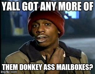 Y'all Got Any More Of That Meme | YALL GOT ANY MORE OF THEM DONKEY ASS MAILBOXES? | image tagged in memes,yall got any more of | made w/ Imgflip meme maker
