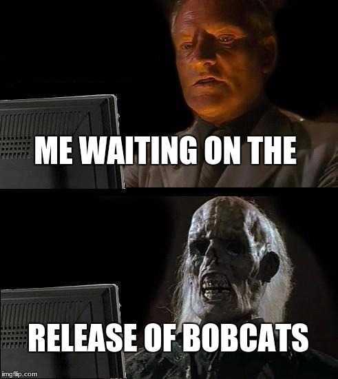 I'll Just Wait Here Meme | ME WAITING ON THE; RELEASE OF BOBCATS | image tagged in memes,ill just wait here | made w/ Imgflip meme maker