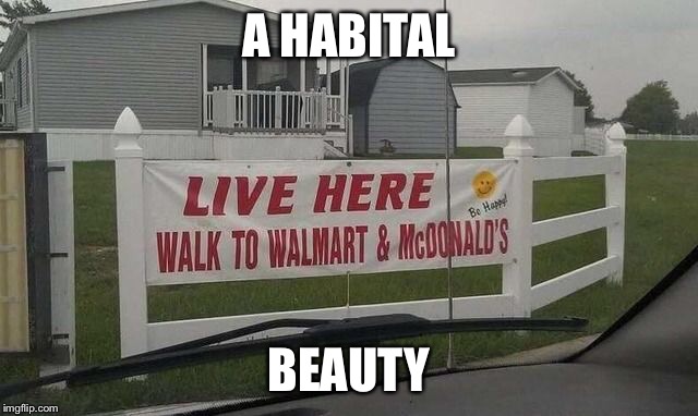 A HABITAL; BEAUTY | image tagged in david henry thomas | made w/ Imgflip meme maker