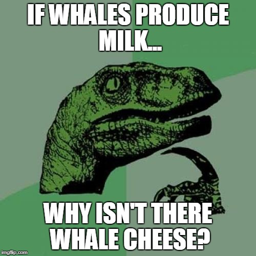 Philosoraptor Meme | IF WHALES PRODUCE MILK... WHY ISN'T THERE WHALE CHEESE? | image tagged in memes,philosoraptor | made w/ Imgflip meme maker