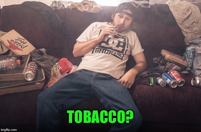 Stoner on couch | TOBACCO? | image tagged in stoner on couch | made w/ Imgflip meme maker