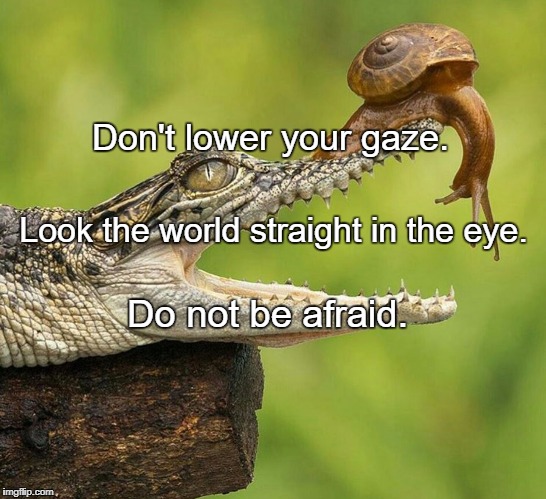 Brave Snail | Don't lower your gaze. Look the world straight in the eye. Do not be afraid. | image tagged in brave snail | made w/ Imgflip meme maker