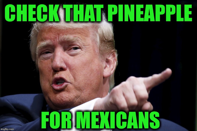 Trump2 | CHECK THAT PINEAPPLE FOR MEXICANS | image tagged in trump2 | made w/ Imgflip meme maker