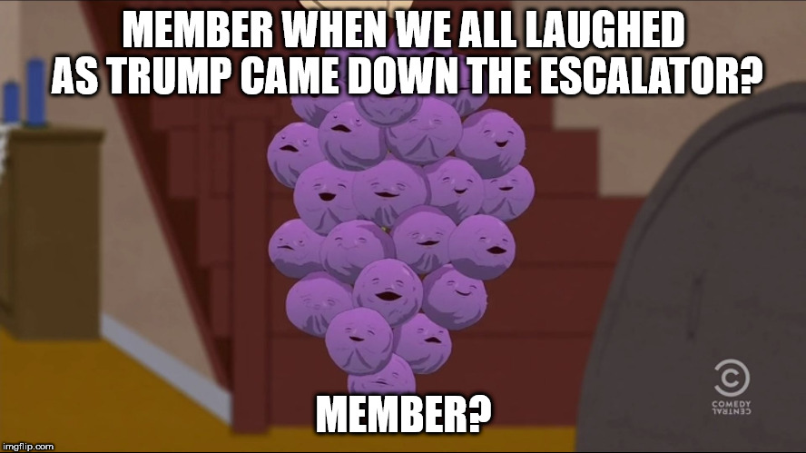 Member Berries Meme | MEMBER WHEN WE ALL LAUGHED AS TRUMP CAME DOWN THE ESCALATOR? MEMBER? | image tagged in memes,member berries | made w/ Imgflip meme maker