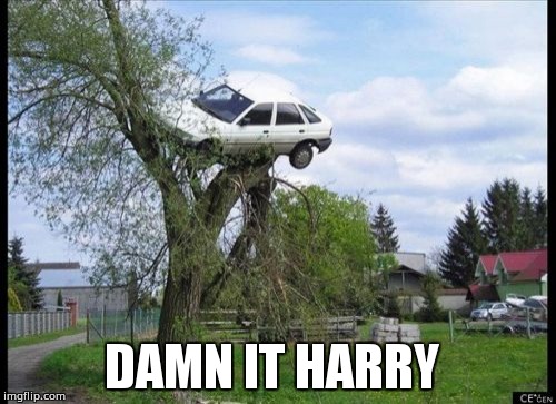 Secure Parking | DAMN IT HARRY | image tagged in memes,secure parking | made w/ Imgflip meme maker