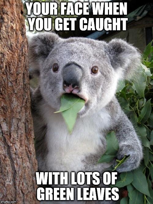 Be prepared. There might be some consequences for healthy lifestyle. | YOUR FACE WHEN YOU GET CAUGHT; WITH LOTS OF GREEN LEAVES | image tagged in memes,surprised koala | made w/ Imgflip meme maker
