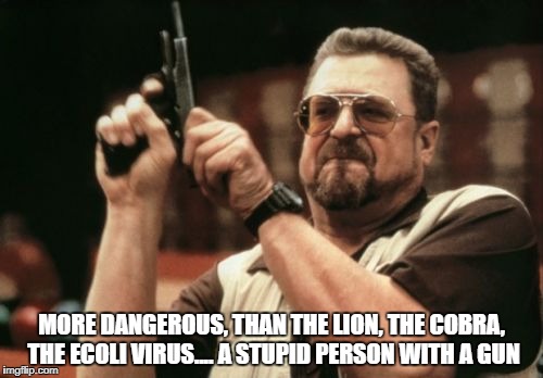 Am I The Only One Around Here Meme | MORE DANGEROUS, THAN THE LION, THE COBRA, THE ECOLI VIRUS.... A STUPID PERSON WITH A GUN | image tagged in memes,am i the only one around here | made w/ Imgflip meme maker
