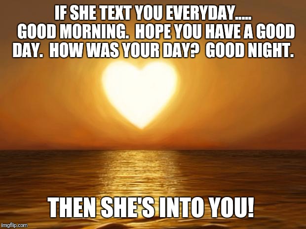 Love | IF SHE TEXT YOU EVERYDAY..... 
GOOD MORNING. 
HOPE YOU HAVE A GOOD DAY. 
HOW WAS YOUR DAY? 
GOOD NIGHT. THEN SHE'S INTO YOU! | image tagged in love | made w/ Imgflip meme maker