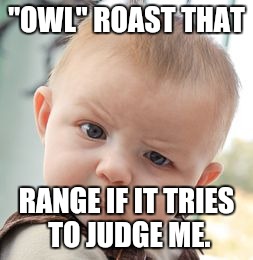 Skeptical Baby Meme | "OWL" ROAST THAT RANGE IF IT TRIES TO JUDGE ME. | image tagged in memes,skeptical baby | made w/ Imgflip meme maker