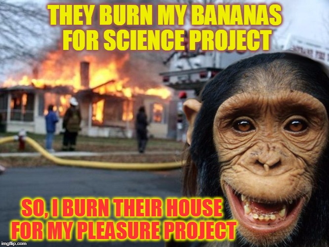 THEY BURN MY BANANAS FOR SCIENCE PROJECT; SO, I BURN THEIR HOUSE FOR MY PLEASURE PROJECT | made w/ Imgflip meme maker