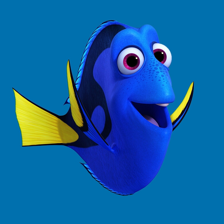 dory  Blank Meme Template