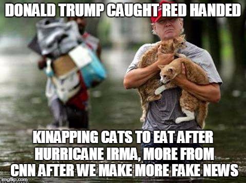 CNN is the new comedy network | DONALD TRUMP CAUGHT RED HANDED; KINAPPING CATS TO EAT AFTER HURRICANE IRMA, MORE FROM CNN AFTER WE MAKE MORE FAKE NEWS | image tagged in donald trump,eat cats,cnn fake news | made w/ Imgflip meme maker