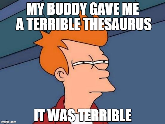 Futurama Fry Meme | MY BUDDY GAVE ME A TERRIBLE THESAURUS; IT WAS TERRIBLE | image tagged in memes,futurama fry | made w/ Imgflip meme maker