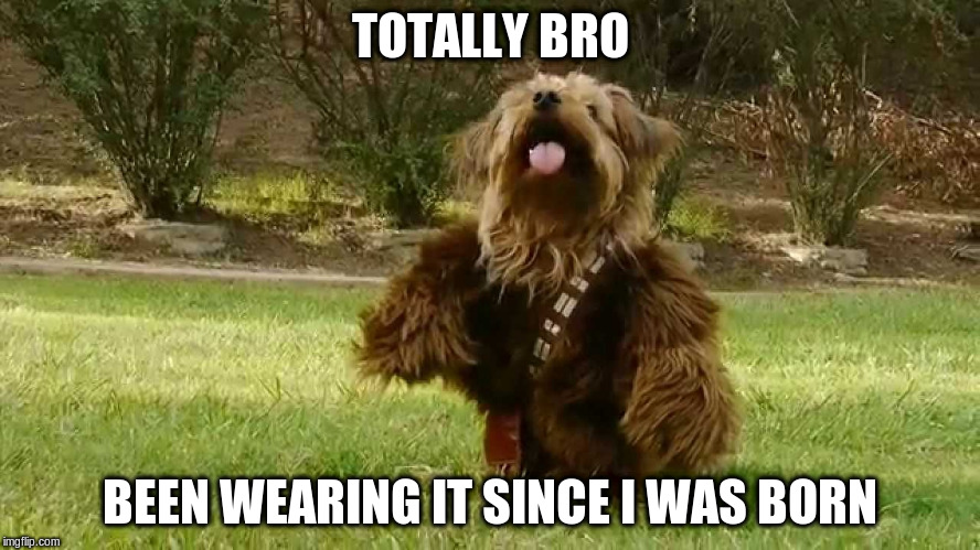 TOTALLY BRO BEEN WEARING IT SINCE I WAS BORN | made w/ Imgflip meme maker