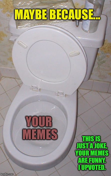 Toilet | MAYBE BECAUSE... YOUR MEMES THIS IS JUST A JOKE, YOUR MEMES ARE FUNNY. I UPVOTED. | image tagged in toilet | made w/ Imgflip meme maker