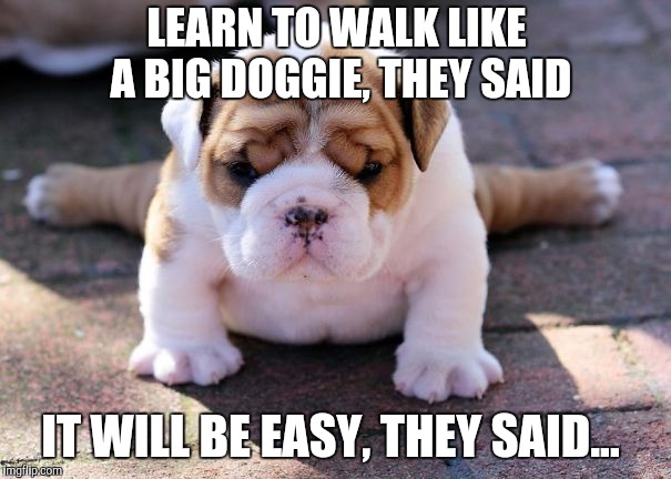 It's Puppy Week! - a Lordcakethief Event, June 11th -17th | LEARN TO WALK LIKE A BIG DOGGIE, THEY SAID; IT WILL BE EASY, THEY SAID... | image tagged in cute puppies,puppies week,jbmemegeek,puppies,funny dogs,cute animals | made w/ Imgflip meme maker