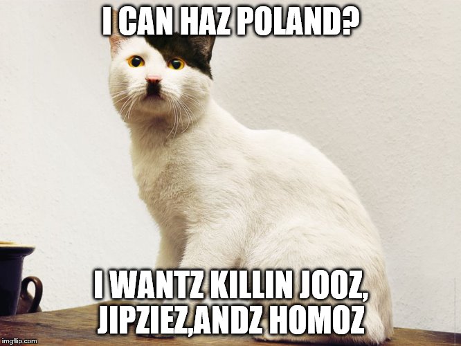 I CAN HAZ POLAND? I WANTZ KILLIN JOOZ, JIPZIEZ,ANDZ HOMOZ | image tagged in kitler | made w/ Imgflip meme maker