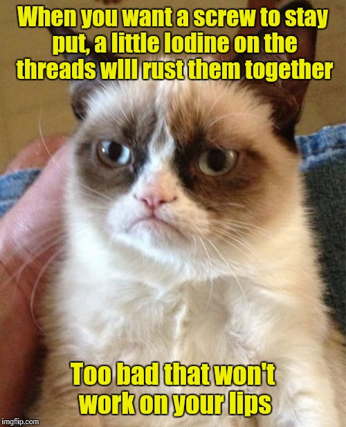 Grumpy Cat | When you want a screw to stay put, a little Iodine on the threads wIll rust them together; Too bad that won't work on your lips | image tagged in memes,grumpy cat | made w/ Imgflip meme maker