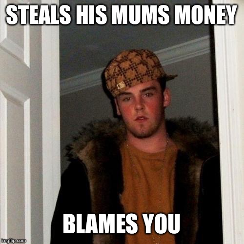 Scumbag Steve | STEALS HIS MUMS MONEY; BLAMES YOU | image tagged in memes,scumbag steve | made w/ Imgflip meme maker