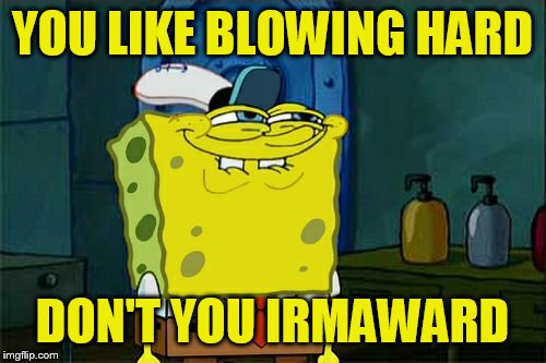 Don't You Squidward | YOU LIKE BLOWING HARD; DON'T YOU IRMAWARD | image tagged in memes,dont you squidward | made w/ Imgflip meme maker