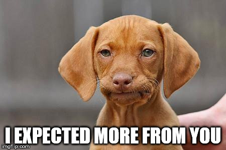 Dissapointed puppy | I EXPECTED MORE FROM YOU | image tagged in dissapointed puppy | made w/ Imgflip meme maker