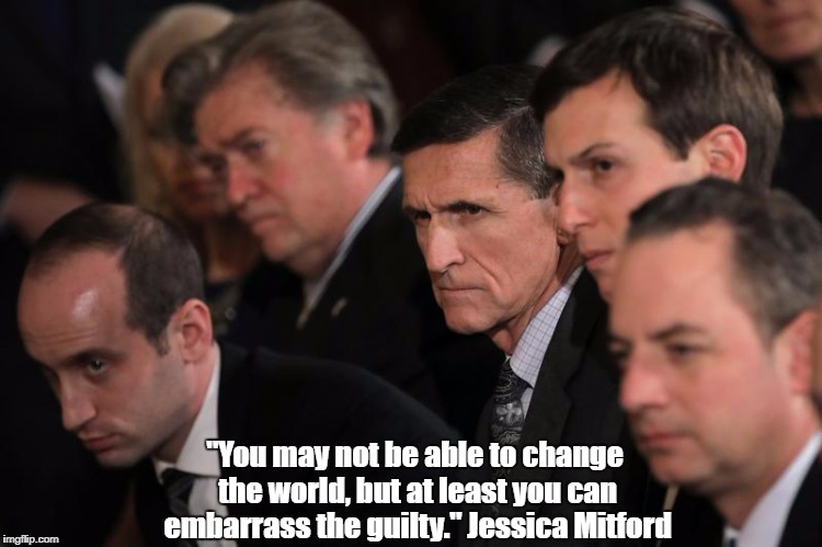 "You May Not Be Able To Change The World, But..." | "You may not be able to change the world, but at least you can embarrass the guilty." Jessica Mitford | image tagged in trump is the swamp,devious donald,despicable donald,deplorable donald,despotic donald,we are known by our friends | made w/ Imgflip meme maker