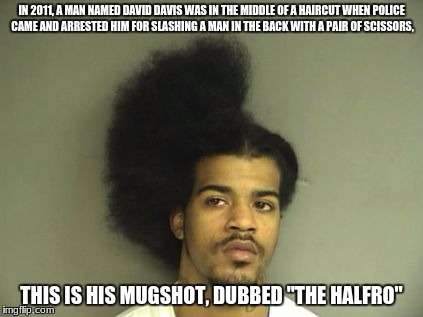 The best worst haircut ever! | IN 2011, A MAN NAMED DAVID DAVIS WAS IN THE MIDDLE OF A HAIRCUT WHEN POLICE CAME AND ARRESTED HIM FOR SLASHING A MAN IN THE BACK WITH A PAIR OF SCISSORS, THIS IS HIS MUGSHOT, DUBBED "THE HALFRO" | image tagged in the halfro,worst haircut,not a bad luck brian meme | made w/ Imgflip meme maker