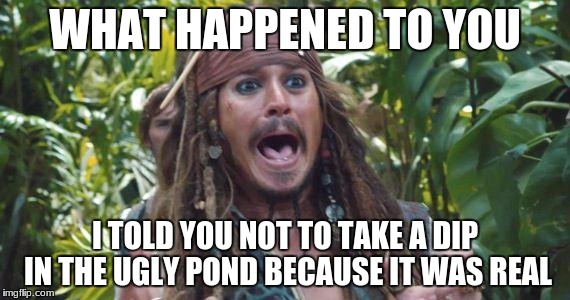 When I see a sexy lady... | WHAT HAPPENED TO YOU; I TOLD YOU NOT TO TAKE A DIP IN THE UGLY POND BECAUSE IT WAS REAL | image tagged in when i see a sexy lady | made w/ Imgflip meme maker