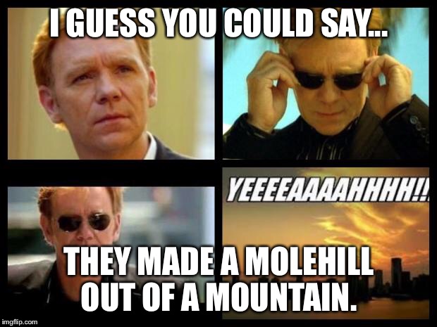 CSI | I GUESS YOU COULD SAY... THEY MADE A MOLEHILL OUT OF A MOUNTAIN. | image tagged in csi | made w/ Imgflip meme maker