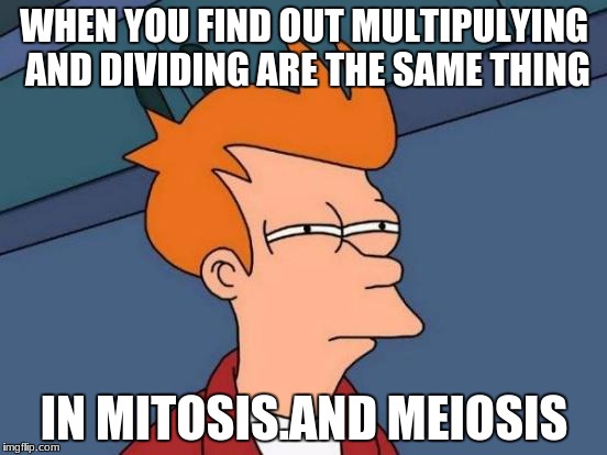Futurama Fry Meme | WHEN YOU FIND OUT MULTIPULYING AND DIVIDING ARE THE SAME THING; IN MITOSIS.AND MEIOSIS | image tagged in memes,futurama fry | made w/ Imgflip meme maker