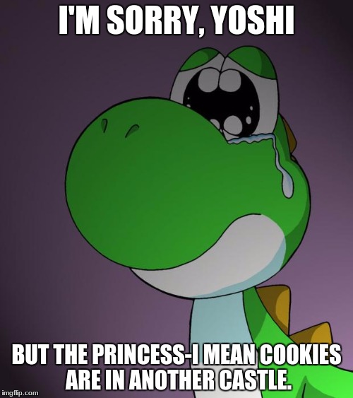 NO! NOT YOSHI | I'M SORRY, YOSHI; BUT THE PRINCESS-I MEAN COOKIES ARE IN ANOTHER CASTLE. | image tagged in sad yoshi | made w/ Imgflip meme maker