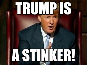 Donald Trump | TRUMP IS; A STINKER! | image tagged in donald trump | made w/ Imgflip meme maker